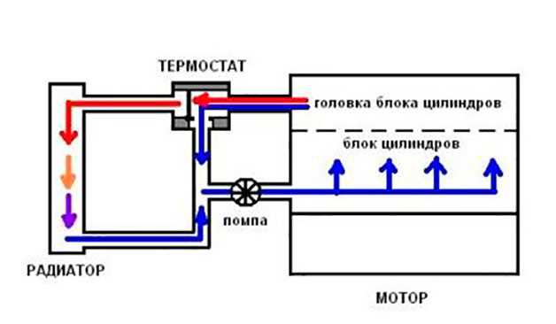 Осмотр